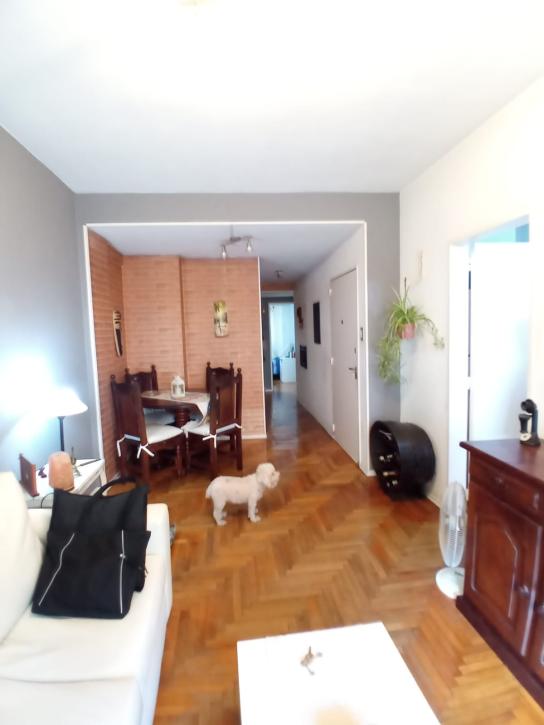 Depto. 3 Ambientes c/ Balcón Fte - Imagen# 4