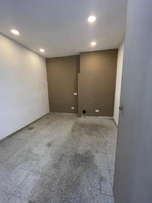 Local Comercial de Frente en La Calle Esmeralda Al 200 - Imagen# 6
